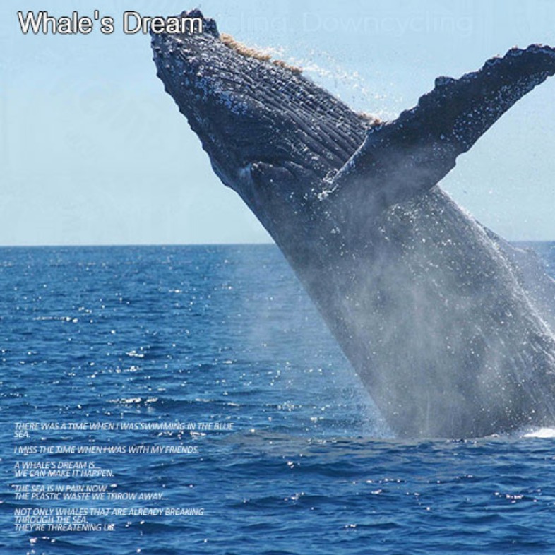 TMAKER, 티메이커 Whale&#039;s Dream